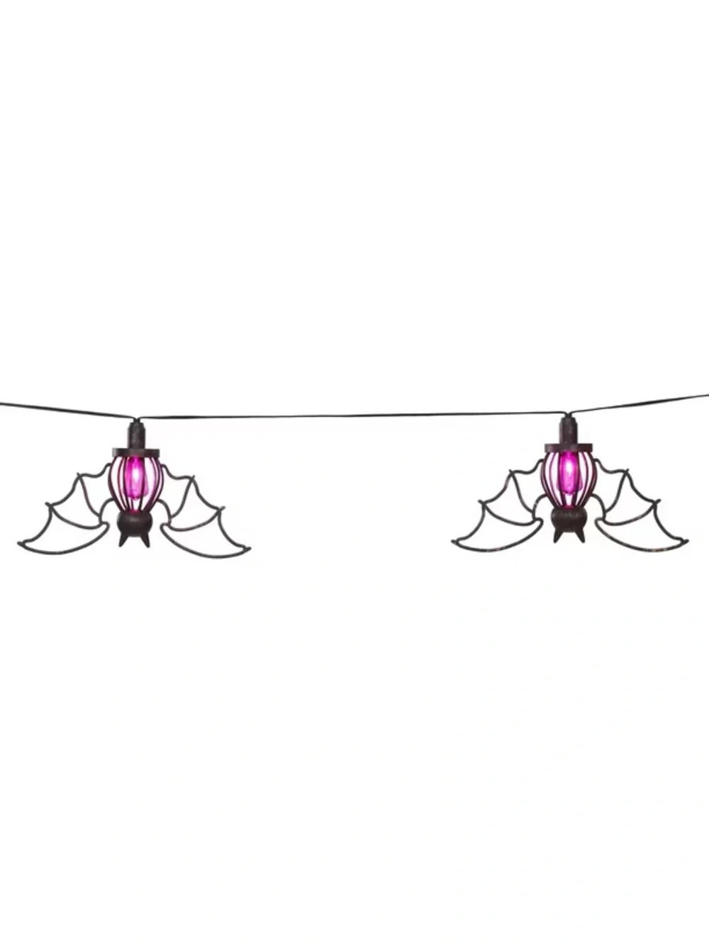 N/A spider or